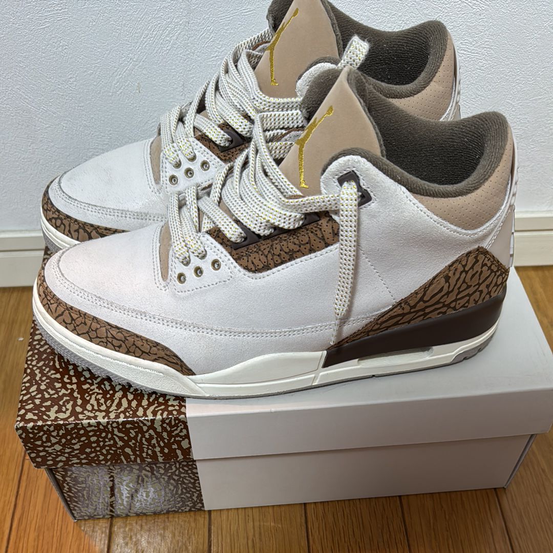 Nike Air Jordan 3 Retro "Orewood Brown"