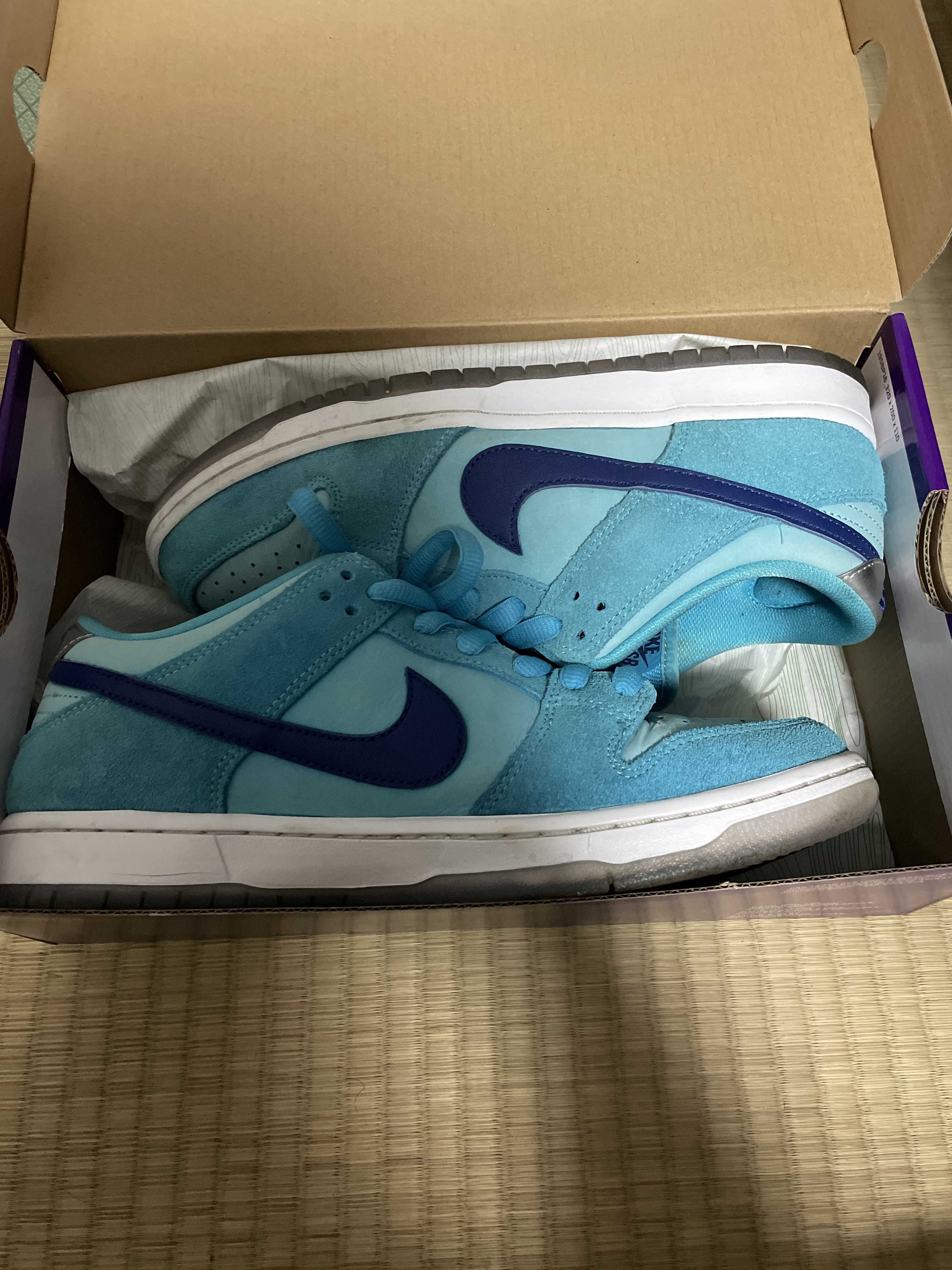dunk blue fury
