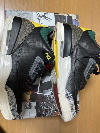 Nike Air Jordan 3 Retro SE "Animal Instinct 2.0/Safari"