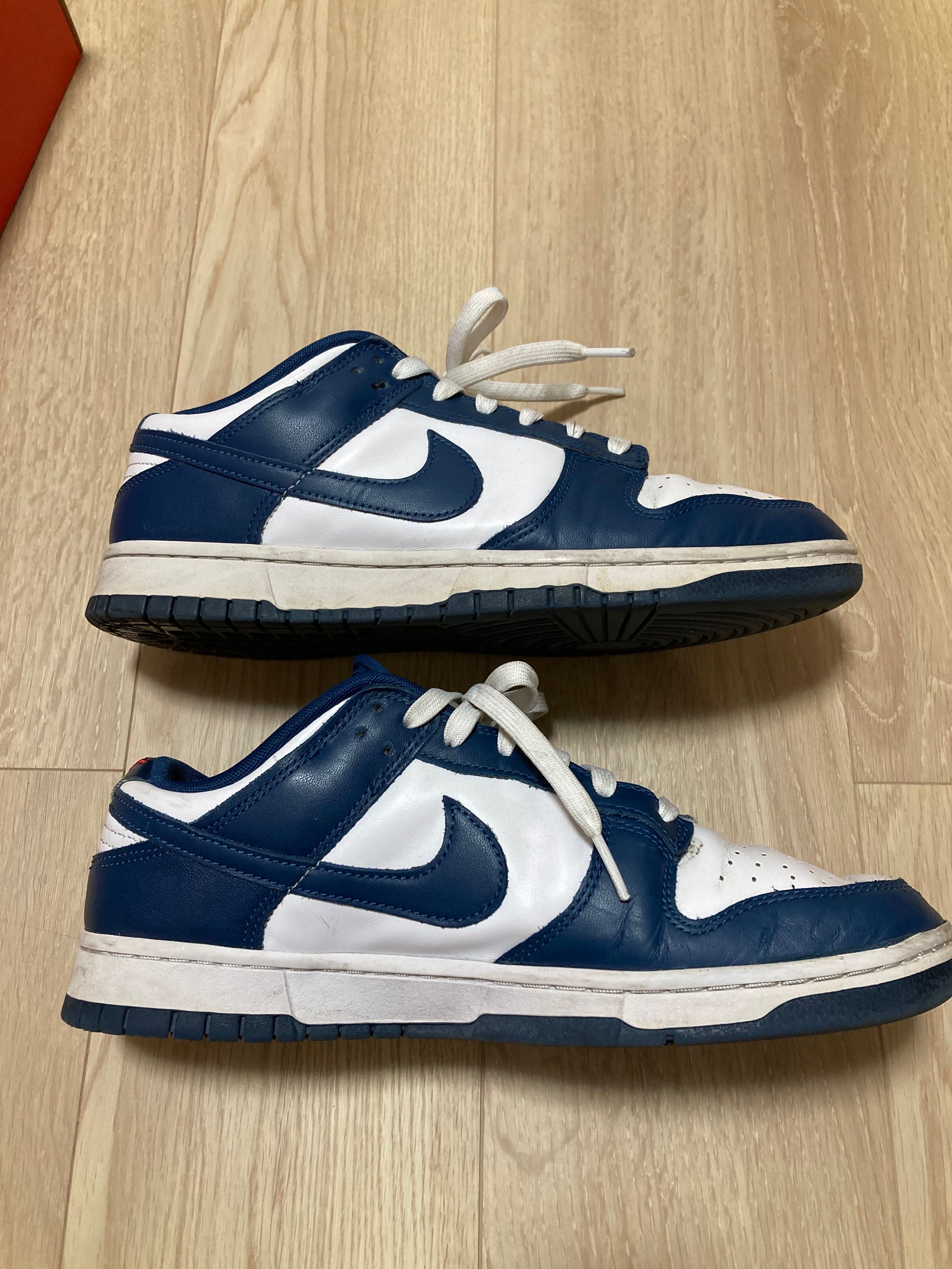 Nike Dunk Low "Valerian Blue"