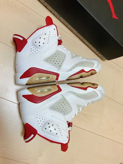 Nike Air Jordan 6 Retro "Altenate Hare"