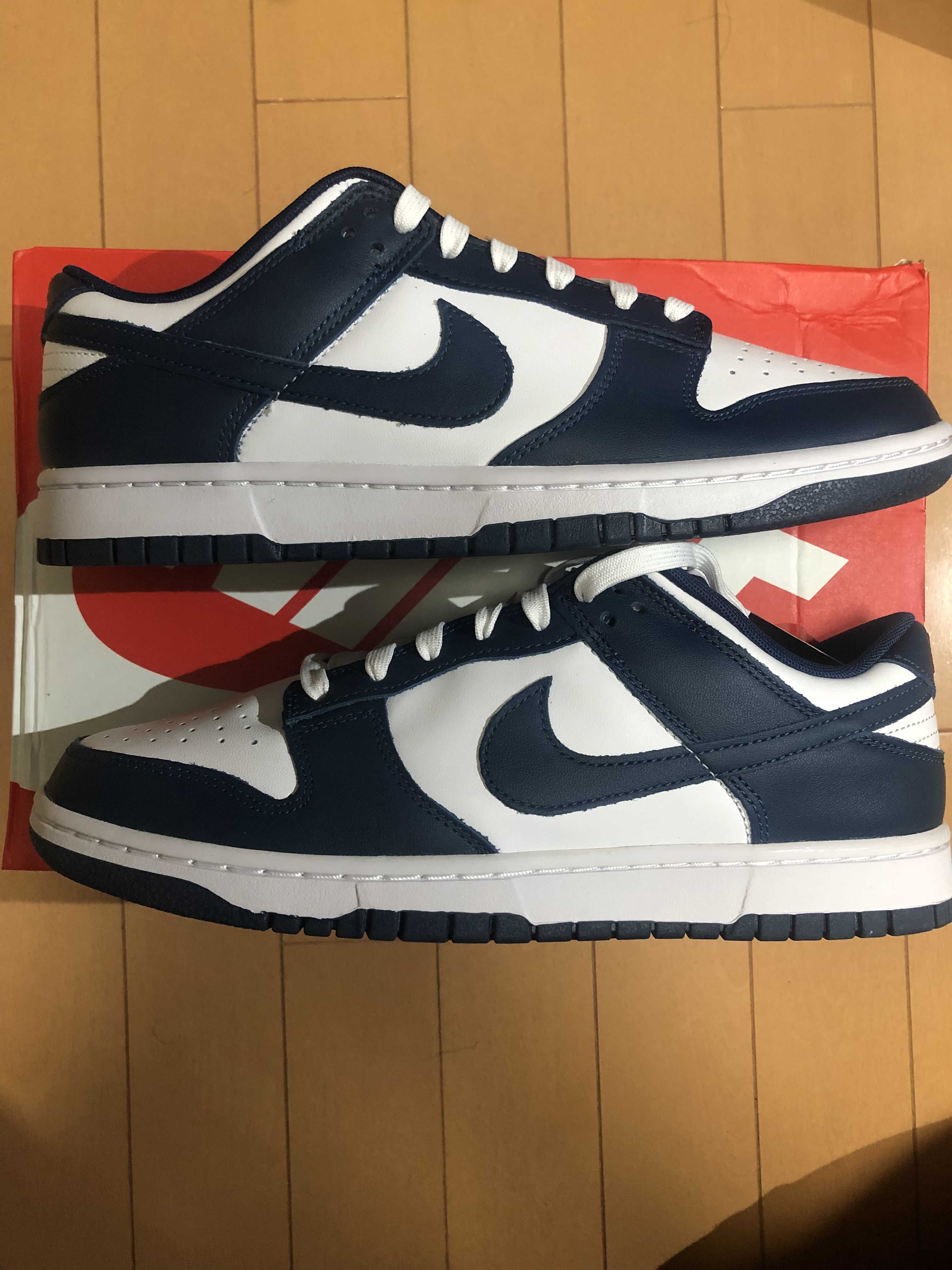 Nike Dunk Low "Valerian Blue"