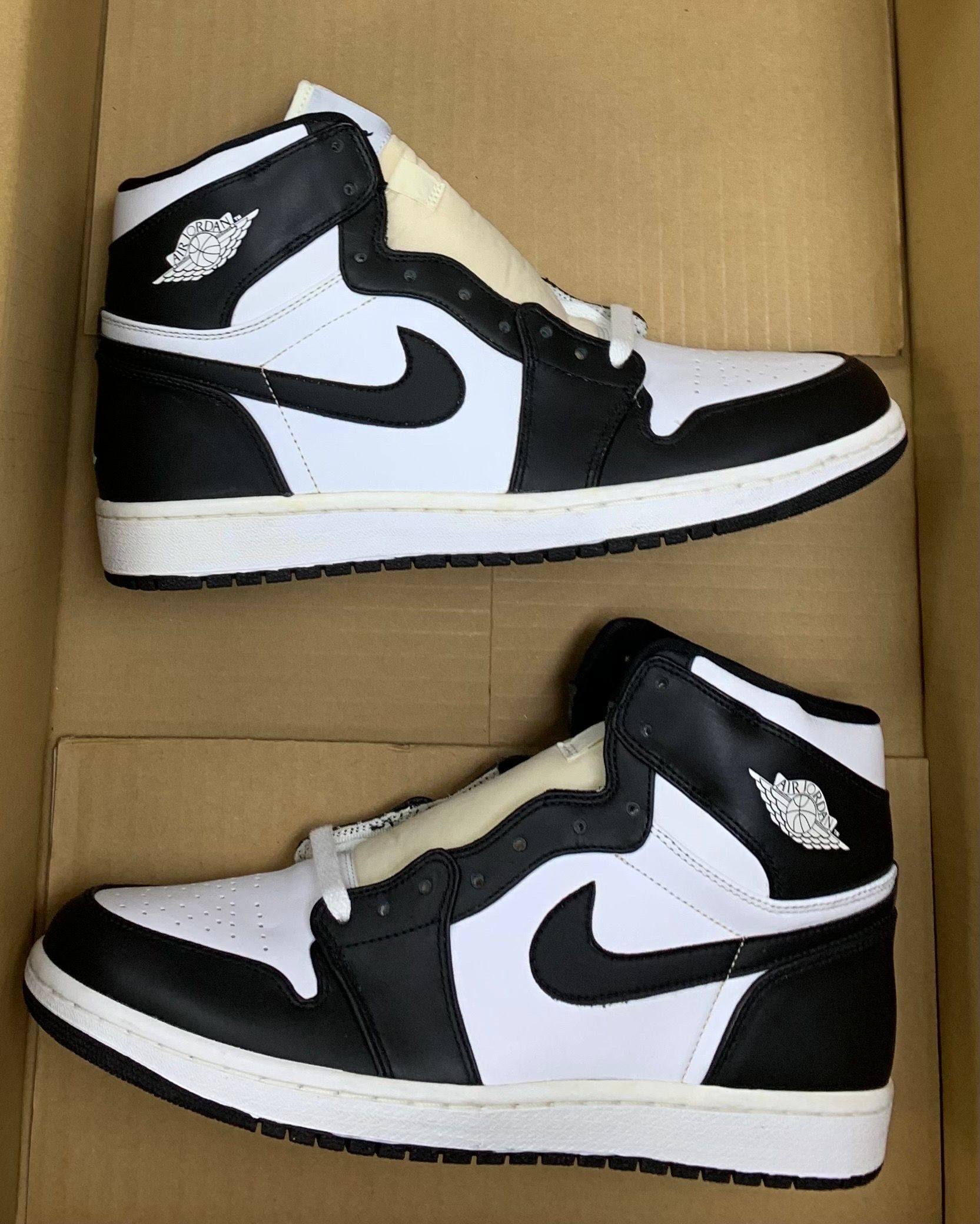 Nike Air Jordan 1 Retro "CDP" (2008)