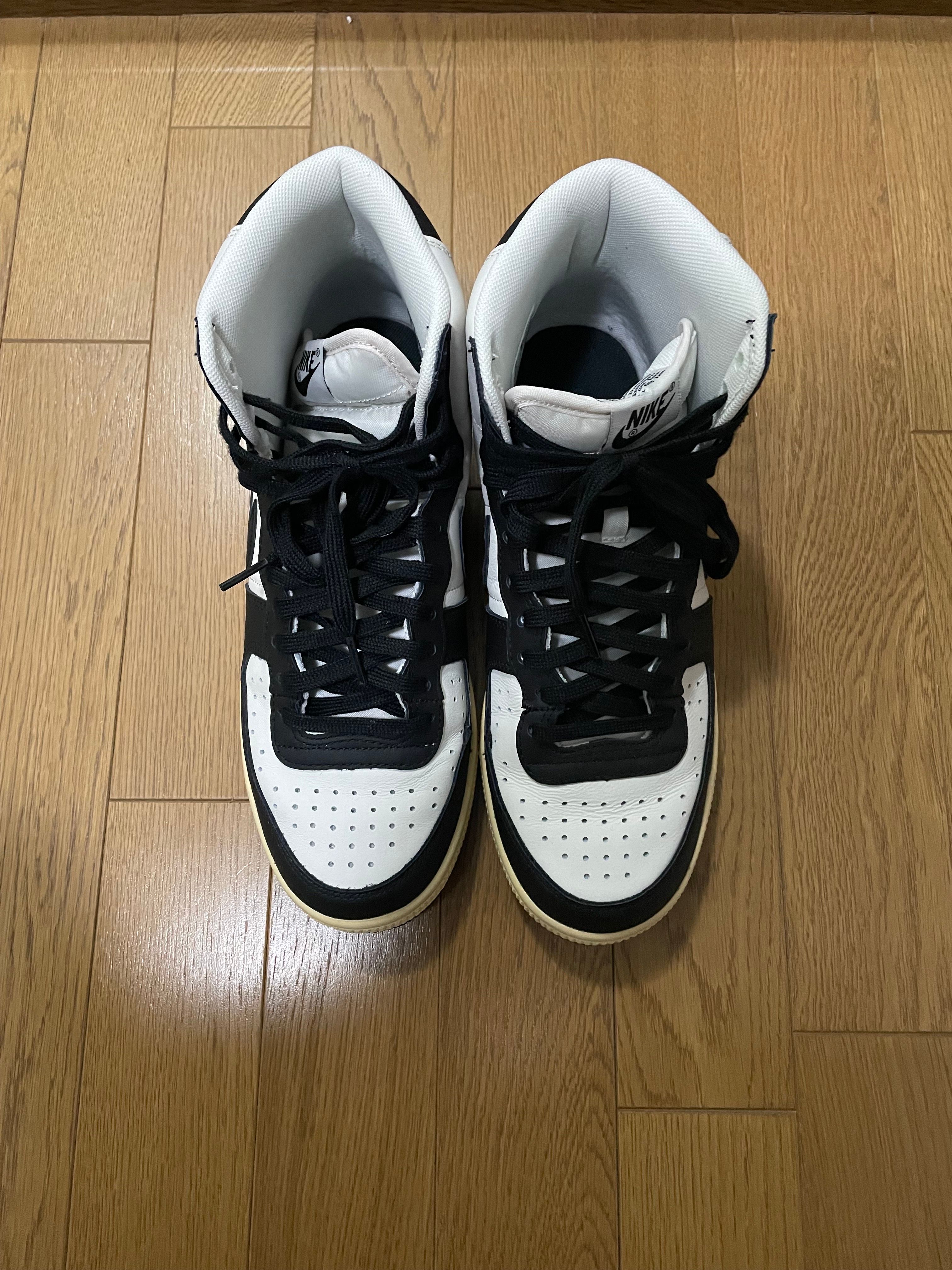 Nike Terminator High "Black and Phantom"