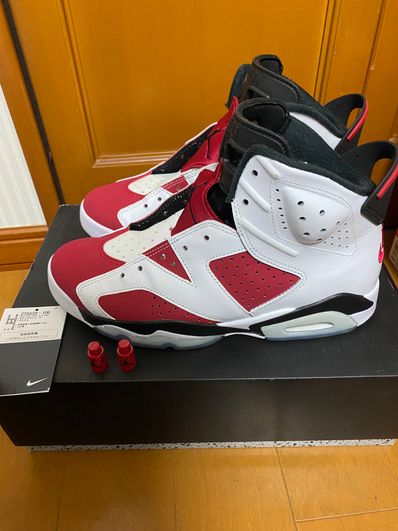 Nike Air Jordan 6 "Carmine" (2021)