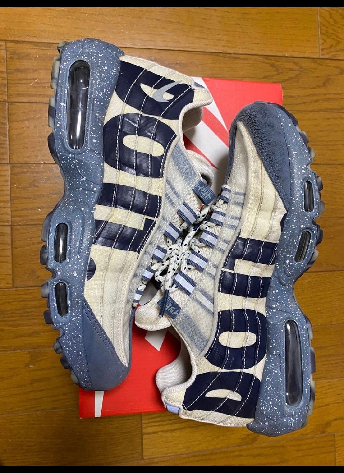 Nike Air Max 95 "Just Do It Mt. Fuji"