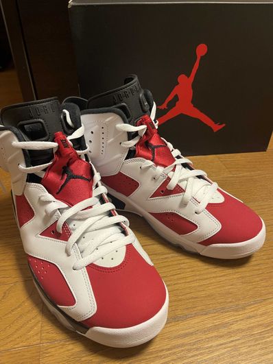 Nike Air Jordan 6 "Carmine" (2021)
