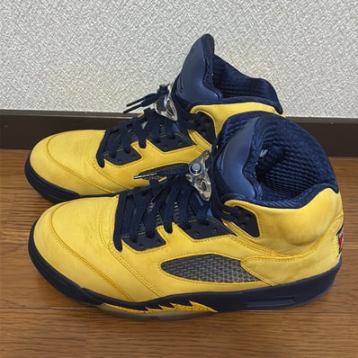 Nike Air Jordan 5 "Michigan"