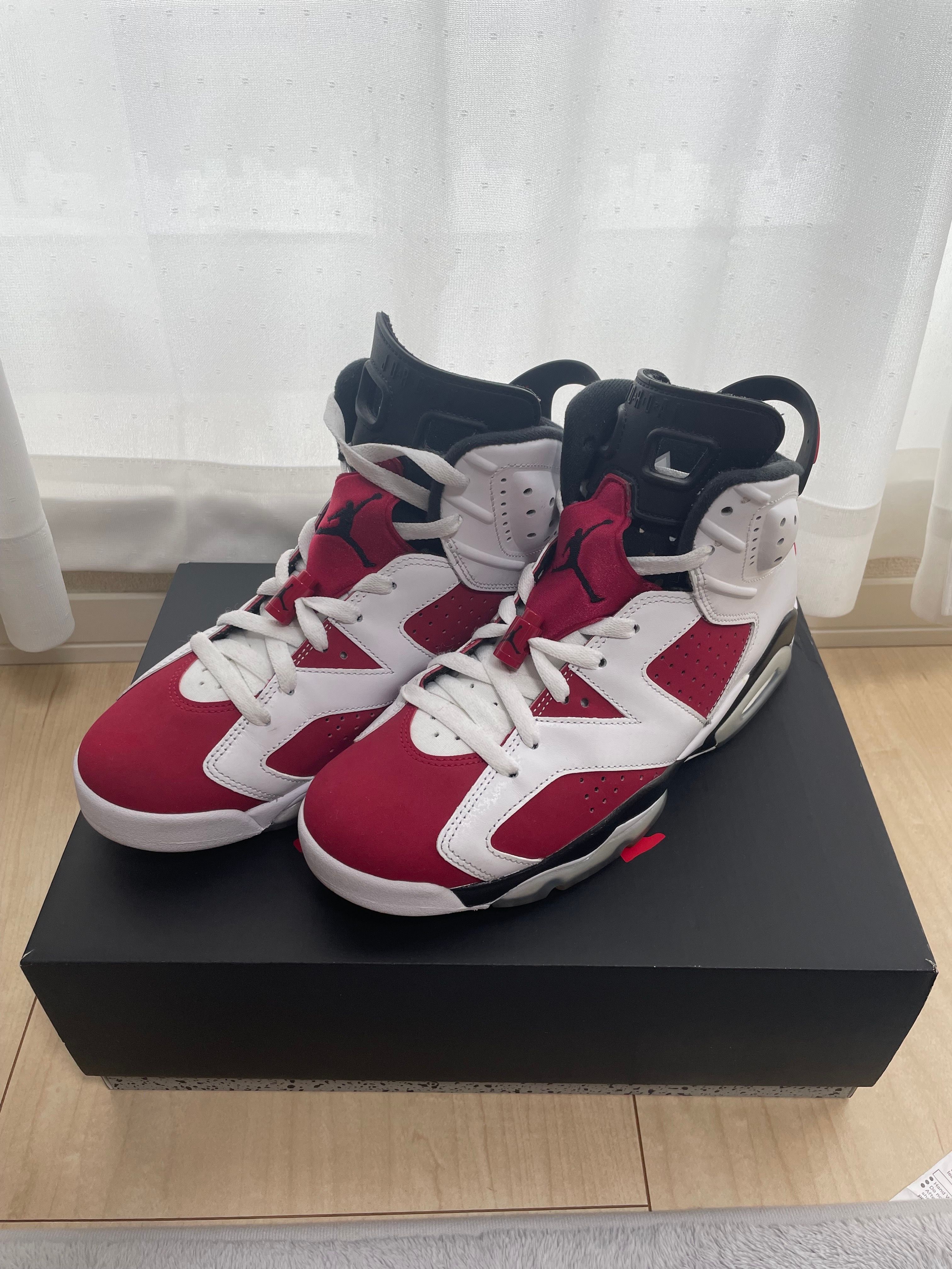 Nike Air Jordan 6 "Carmine" (2021)