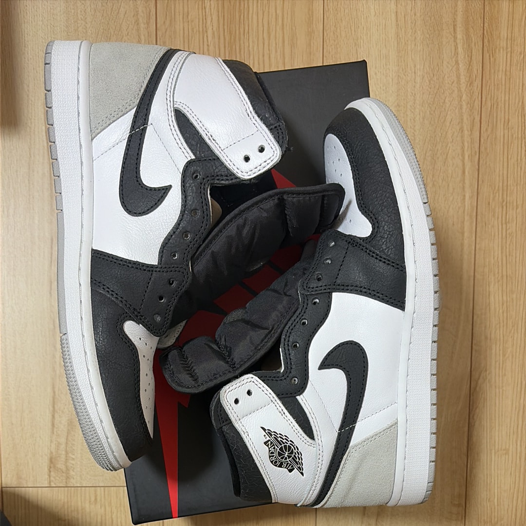 Nike Air Jordan 1 High OG "Bleached Coral"