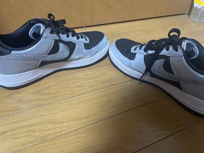 Nike Air Force 1 Low "Silver Snake"