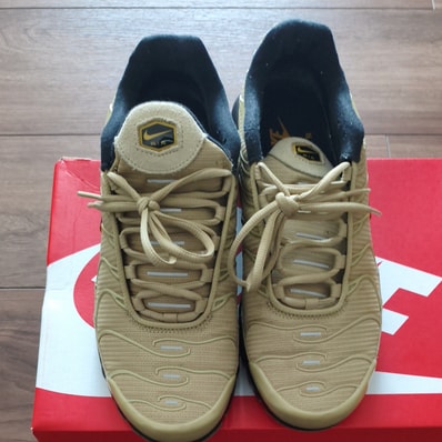 Nike Air Max Plus "Tan/Black and Gum"