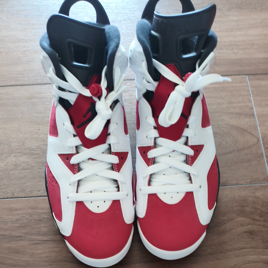 Nike Air Jordan 6 "Carmine" (2021)