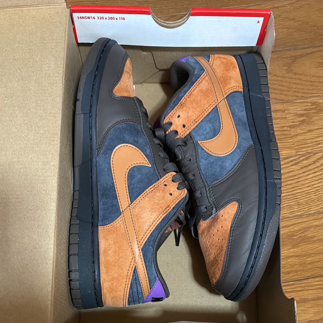 Nike Dunk Low "Cider"