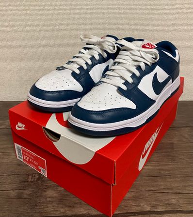 Nike Dunk Low "Valerian Blue"