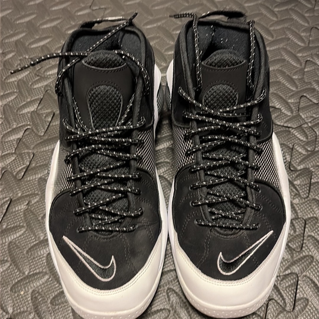 Nike Air Zoom Flight 95 "Black Metallic" (2022)