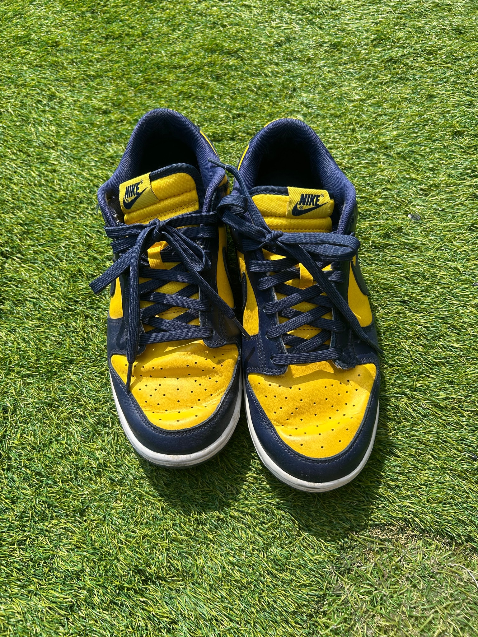 Nike Dunk Low "Michigan"