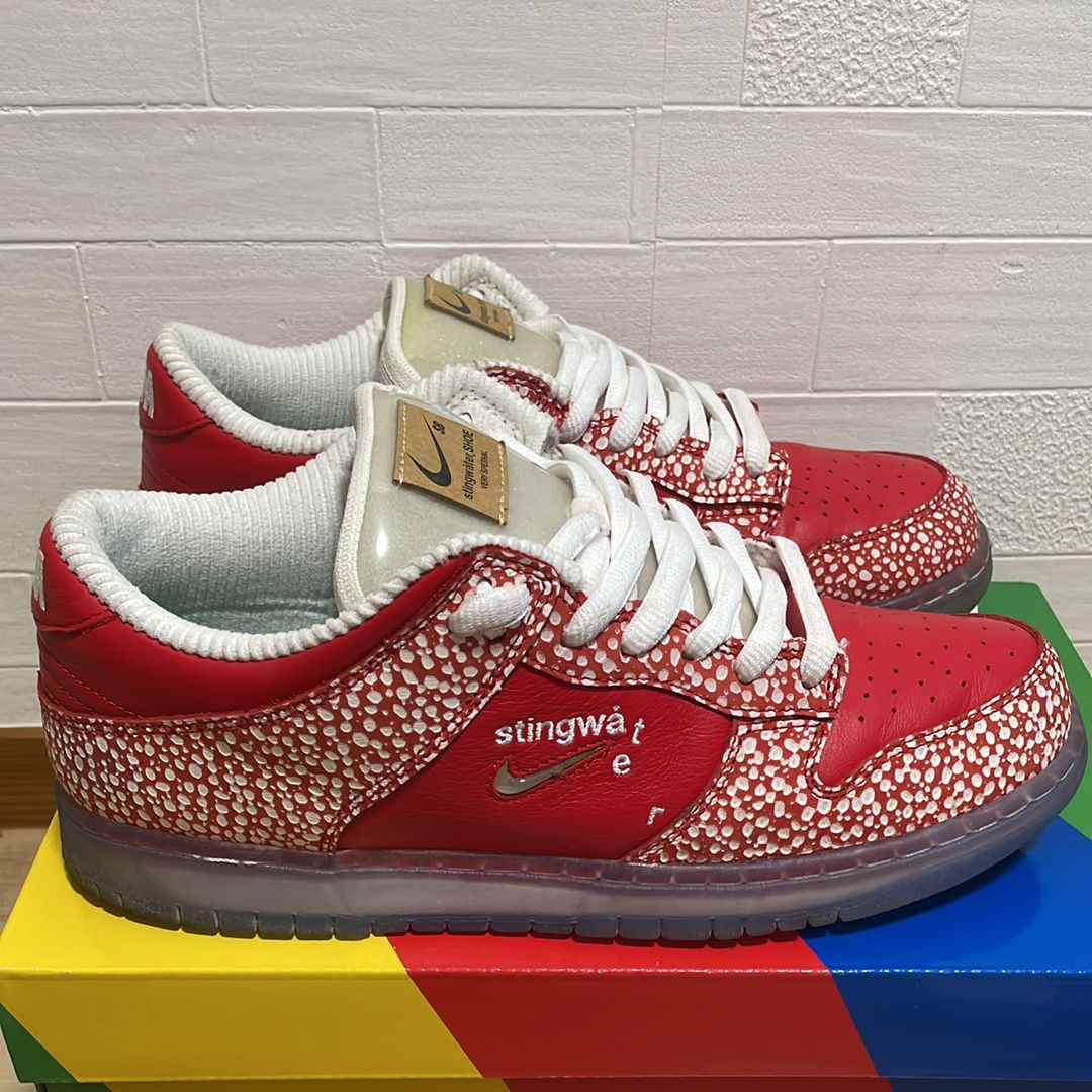 Stingwater × Nike SB Dunk Low 
