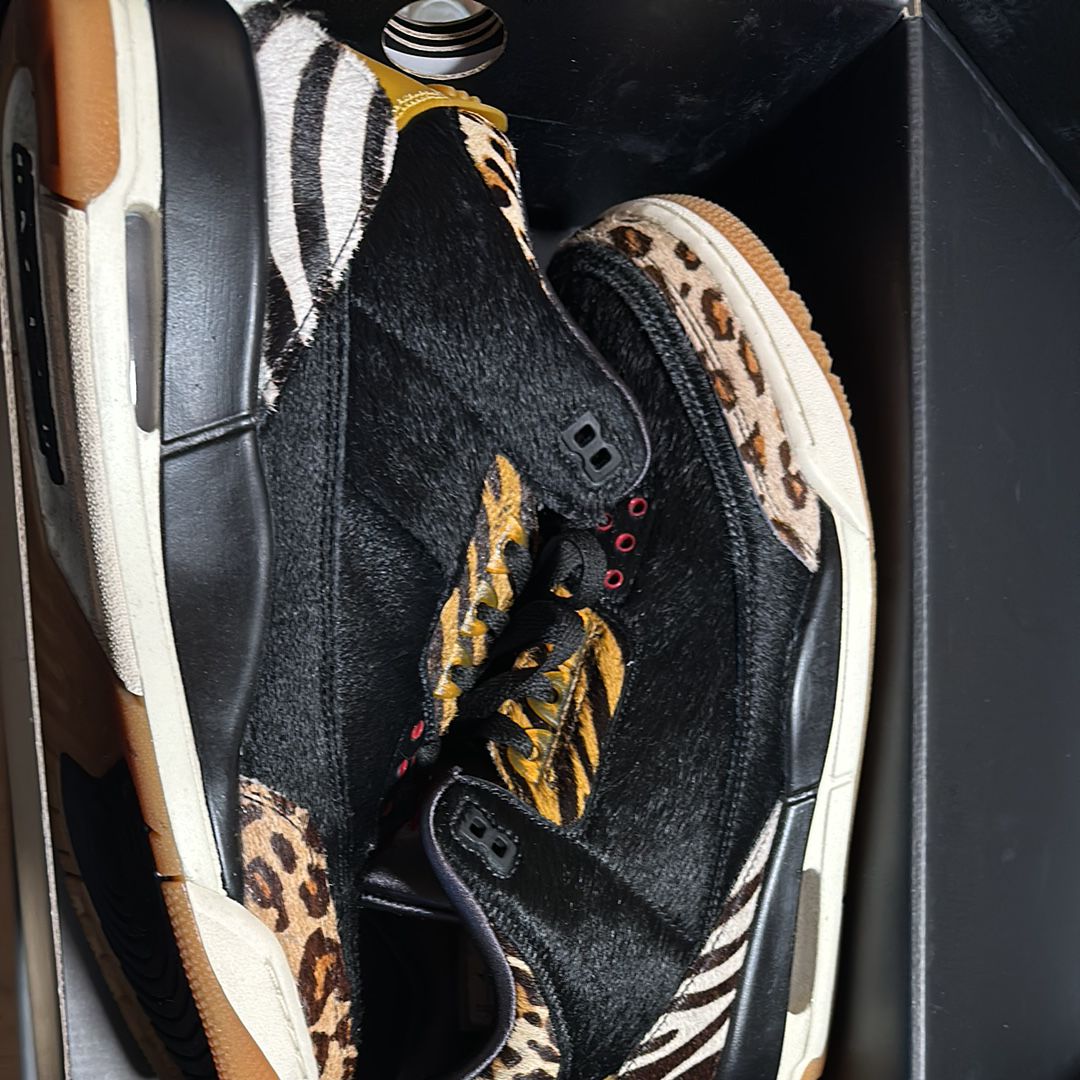 Nike Air Jordan 3 Retro SE "Animal Instinct/Safari"