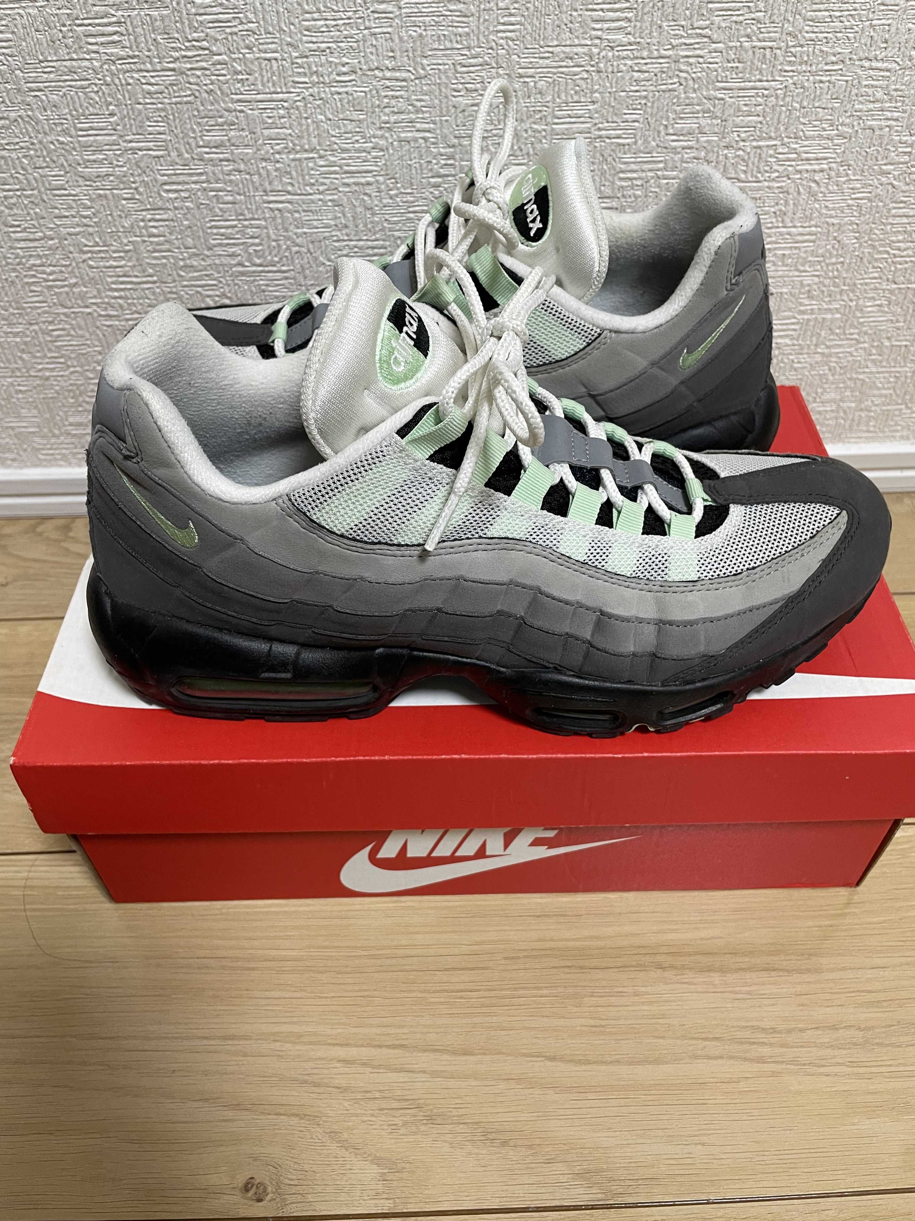 Nike Air Max 95 "Fresh Mint"
