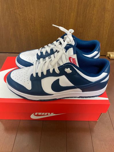 Nike Dunk Low "Valerian Blue"