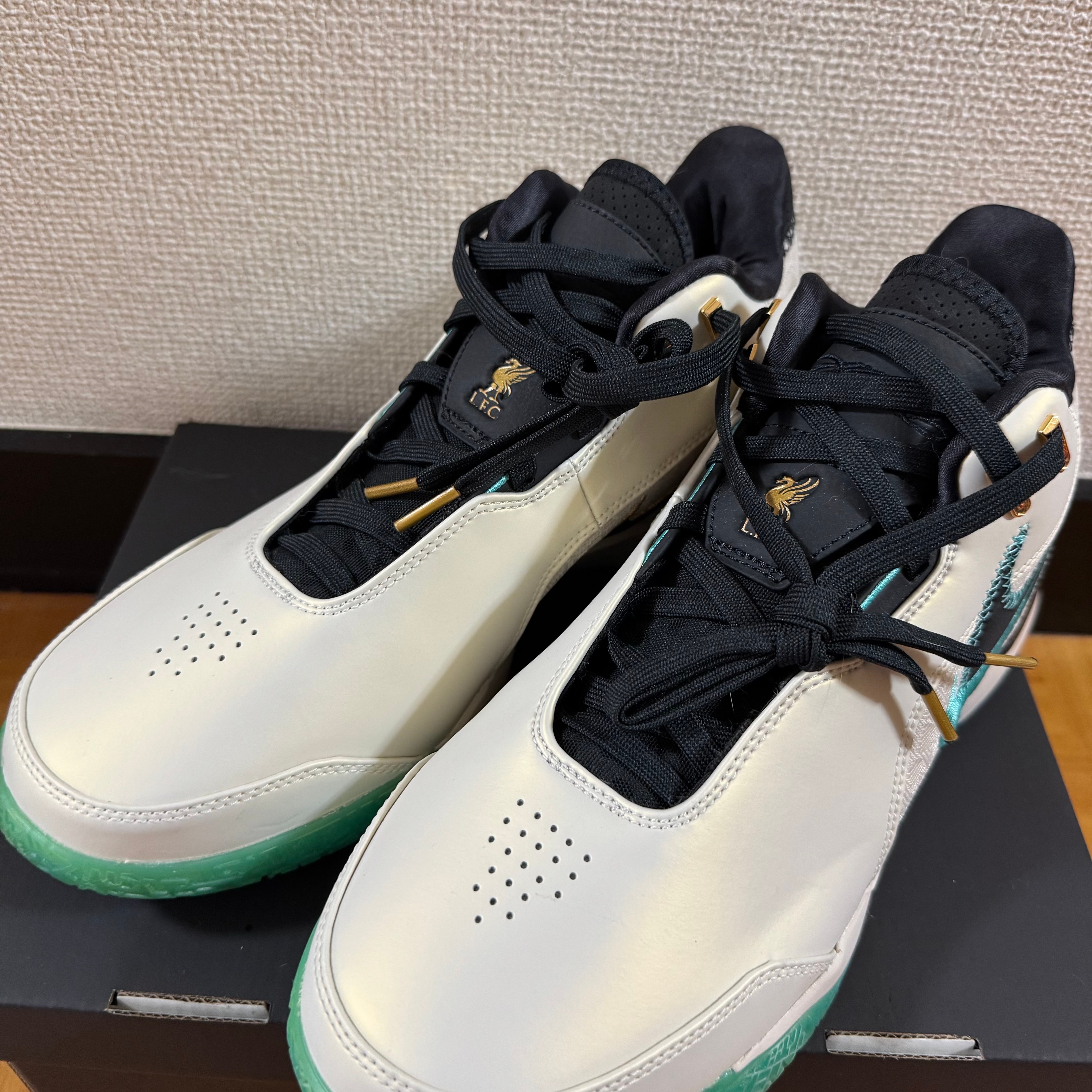 ナイキ レブロン NXXT ジェン AMPD 