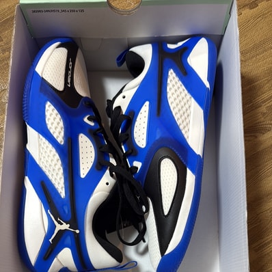 Nike Jordan Heir Series "Blue"