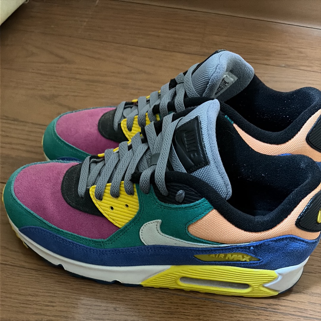 ナイキ エアマックス90 QS  "ヴァイオテック2.0"