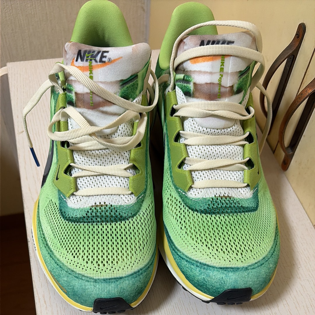 Nike Pegasus 41 "Multi-Color/Vivid Green/Dark Apple/Clear"