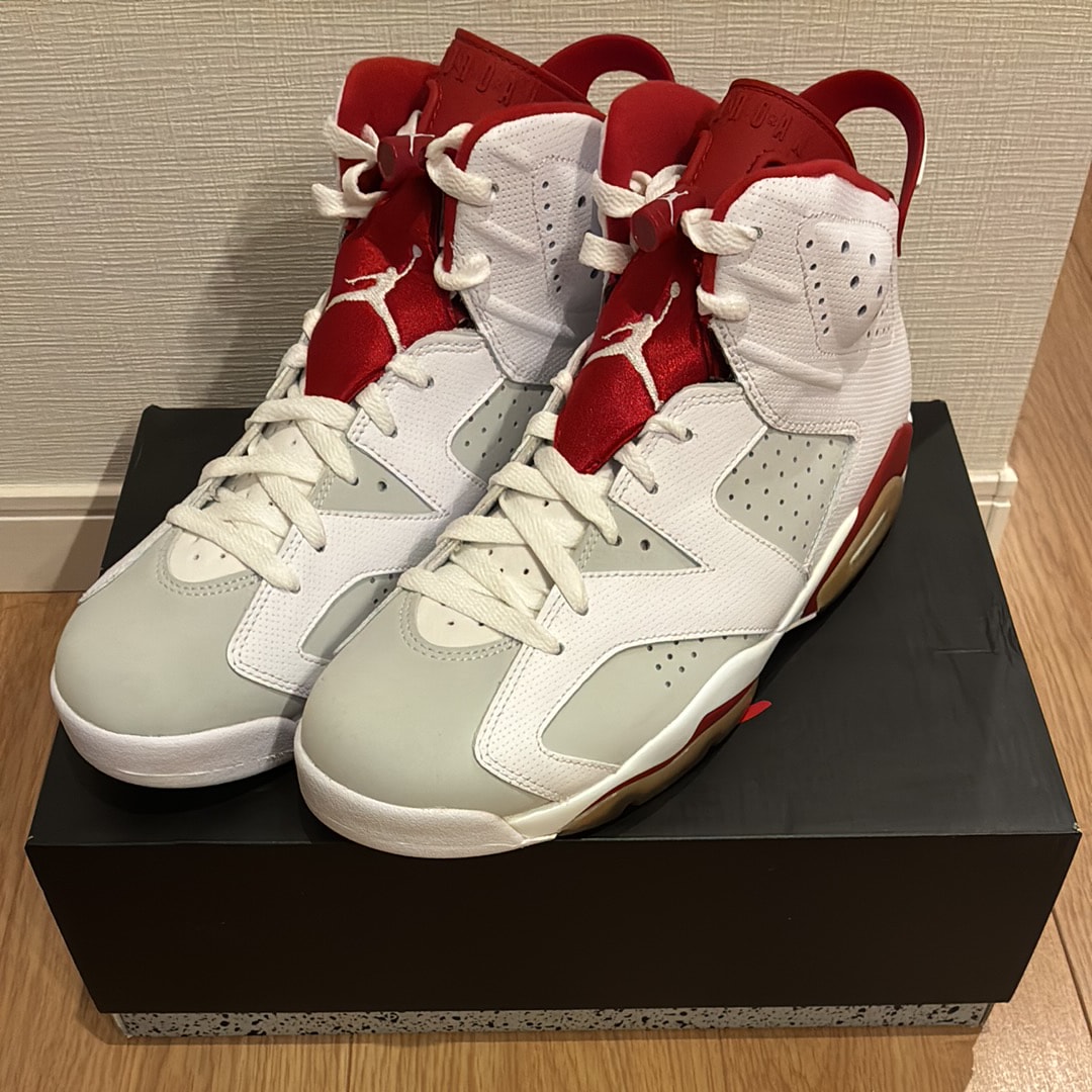 Nike Air Jordan 6 Retro "Altenate Hare"