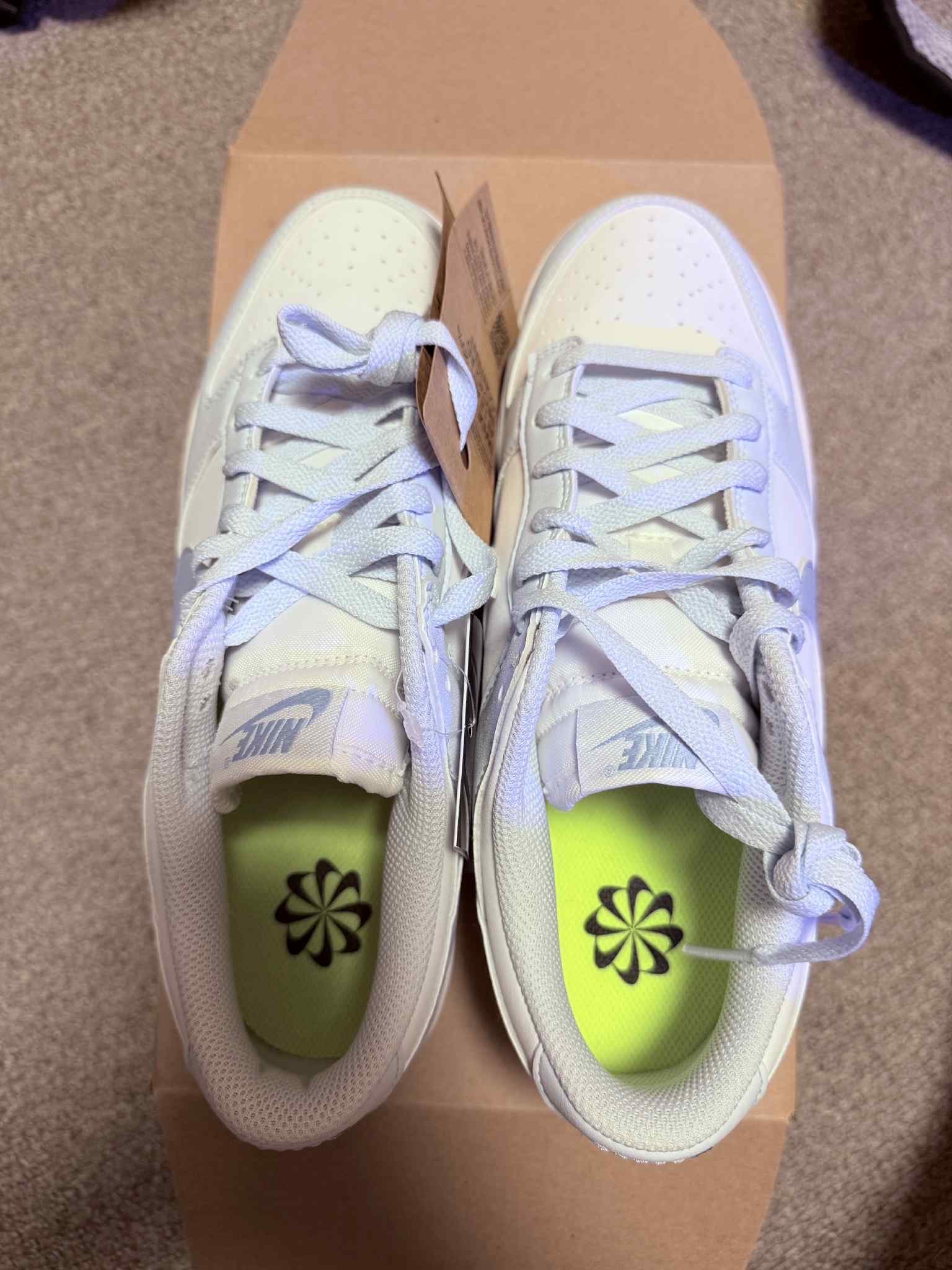 Nike Women's Dunk Low Next Nature "Blue Tint"