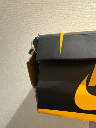 Nike Air Jordan 1 High OG "Pollen"