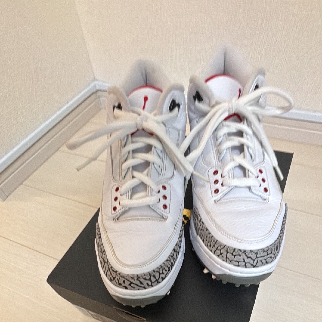 Nike Air Jordan 3 Retro Golf "White Cement"