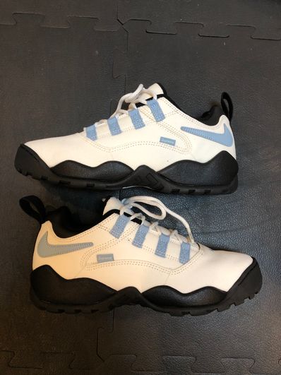 Supreme × Nike SB Darwin Low "White"