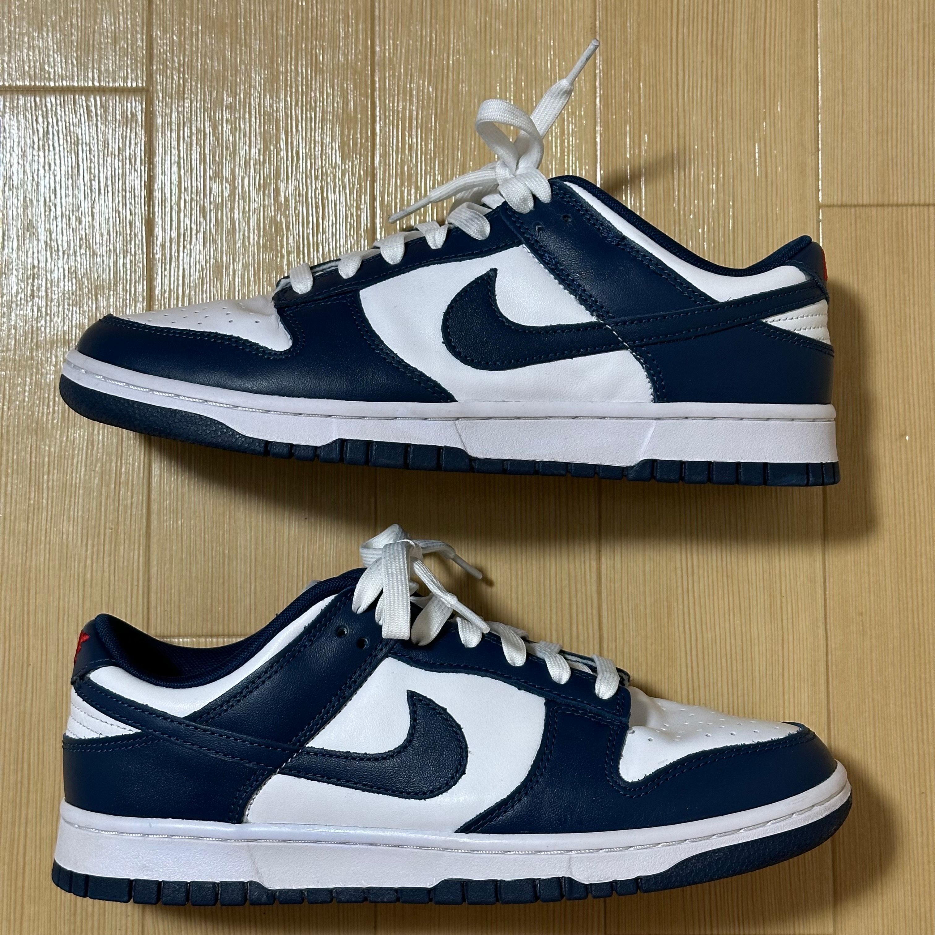 Nike Dunk Low "Valerian Blue"