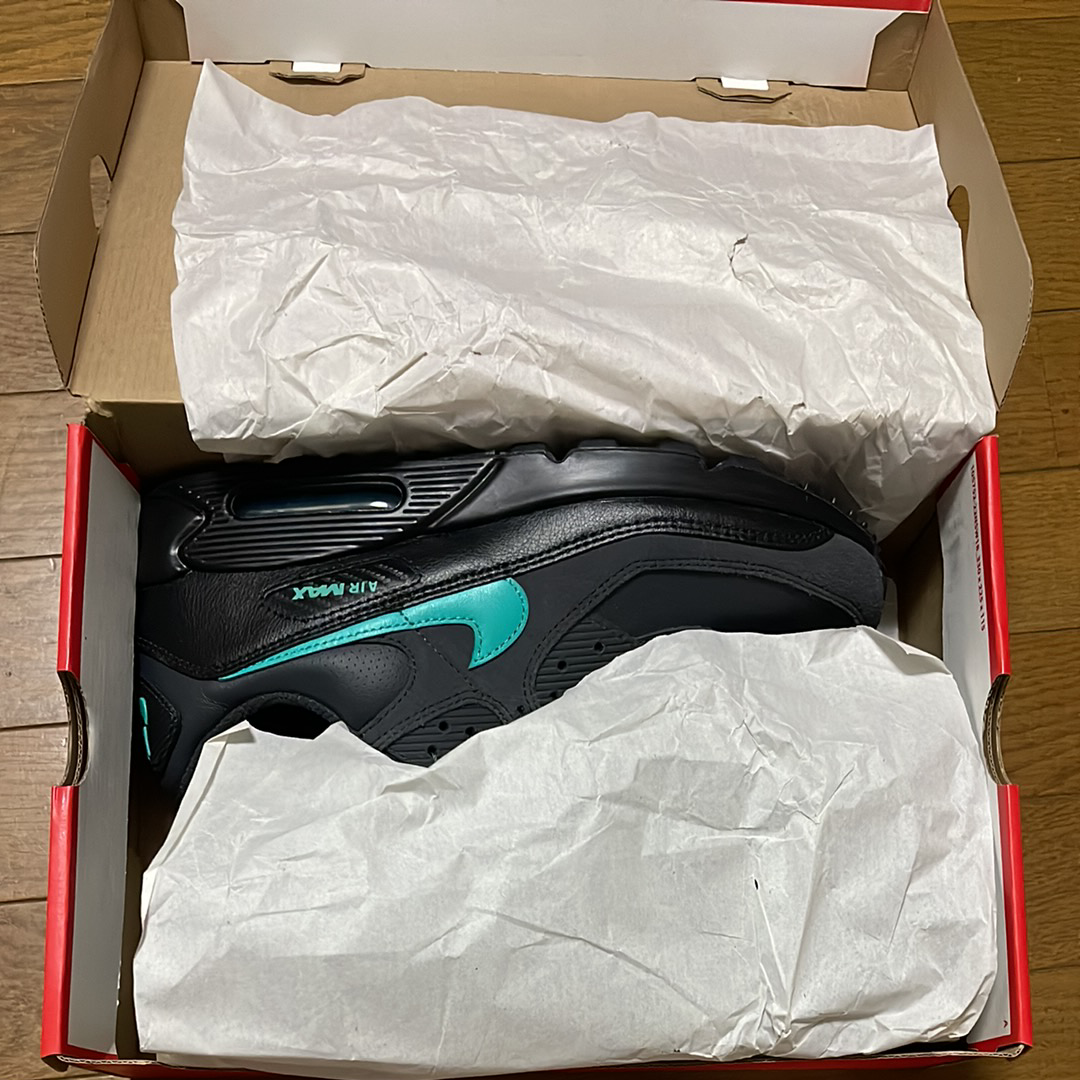 Nike Air Max 90 "Black Tiffany"