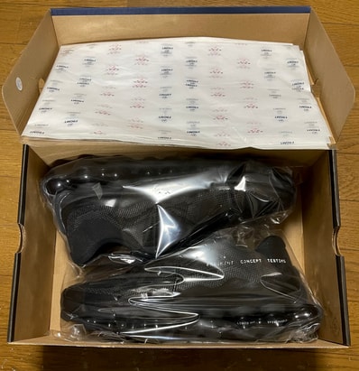 fragment design × Nike Air Liquid Max "Black"