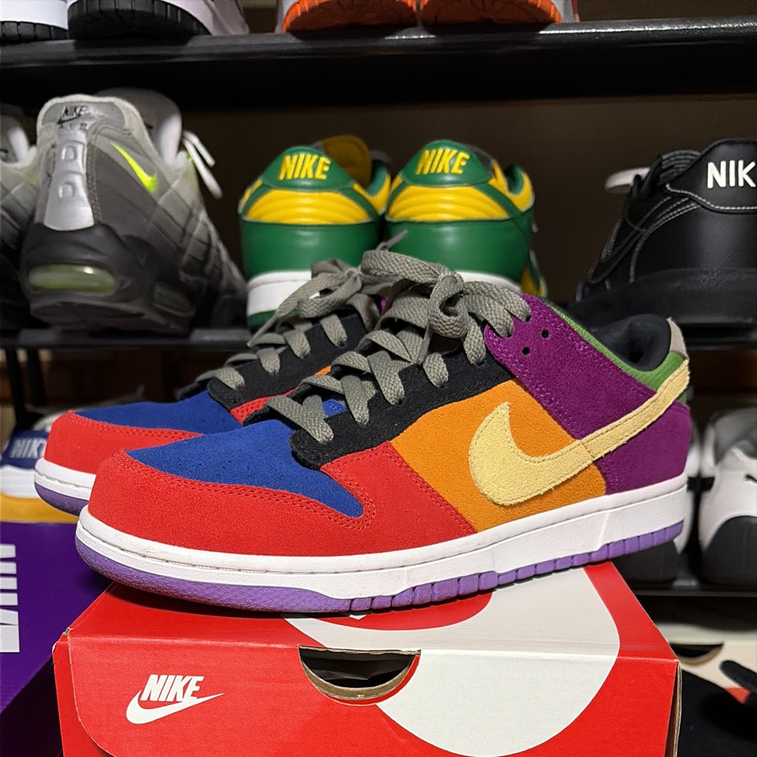 ナイキ ダンク ロー SP "バイオテック"