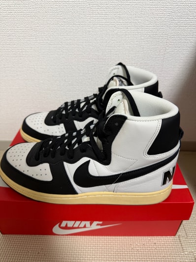 Nike Terminator High "Black and Phantom"