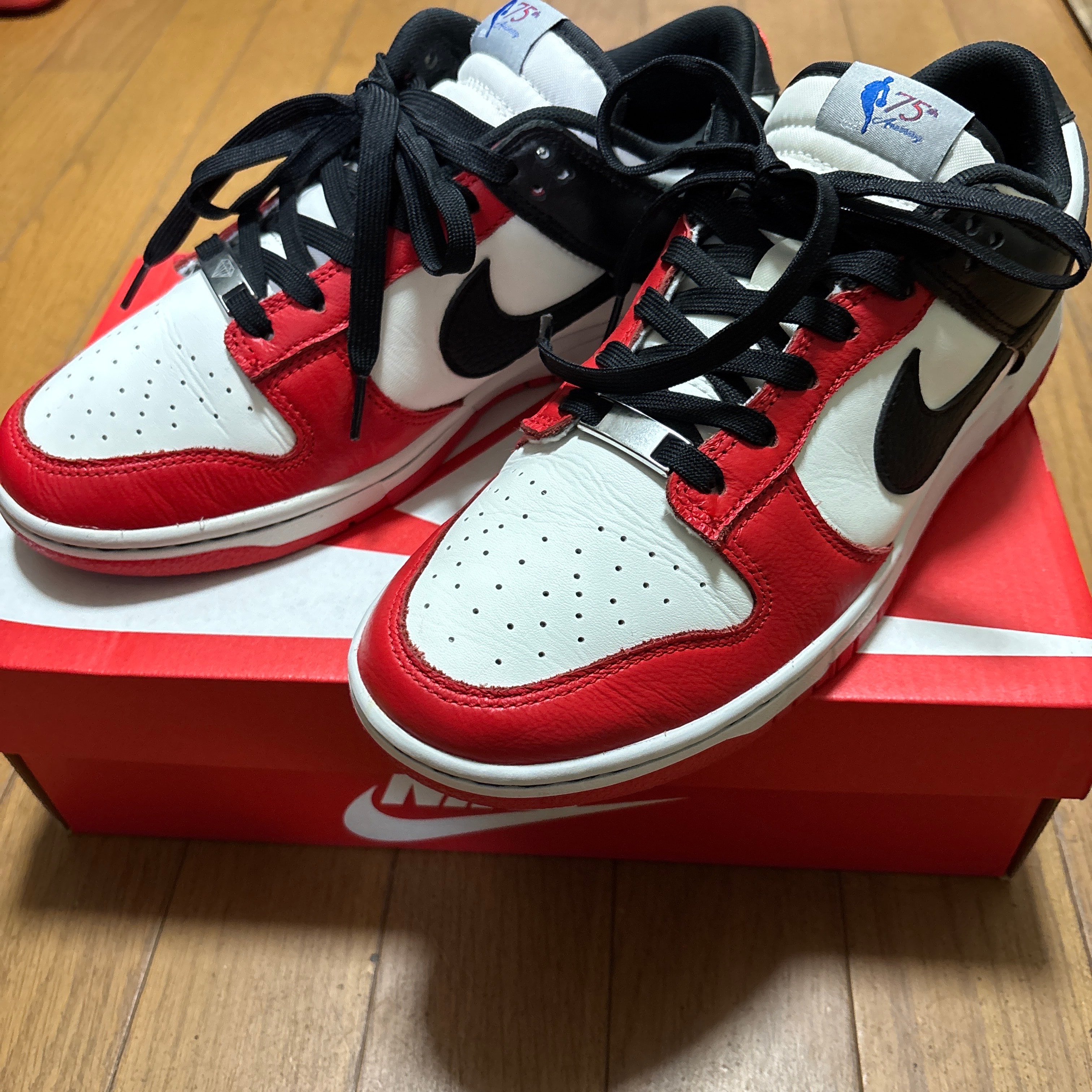 NBA × ナイキ ダンク ロー EMB 75th アニバーサリー 