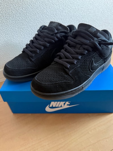 UNDEFEATED × Nike Dunk Low SP "5 ON IT"
