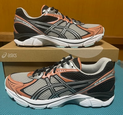 Asics GT-2160 "Brick Dust"