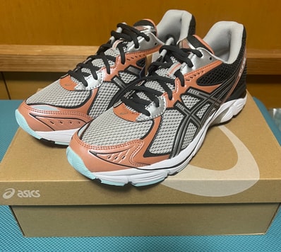 Asics GT-2160 "Brick Dust"