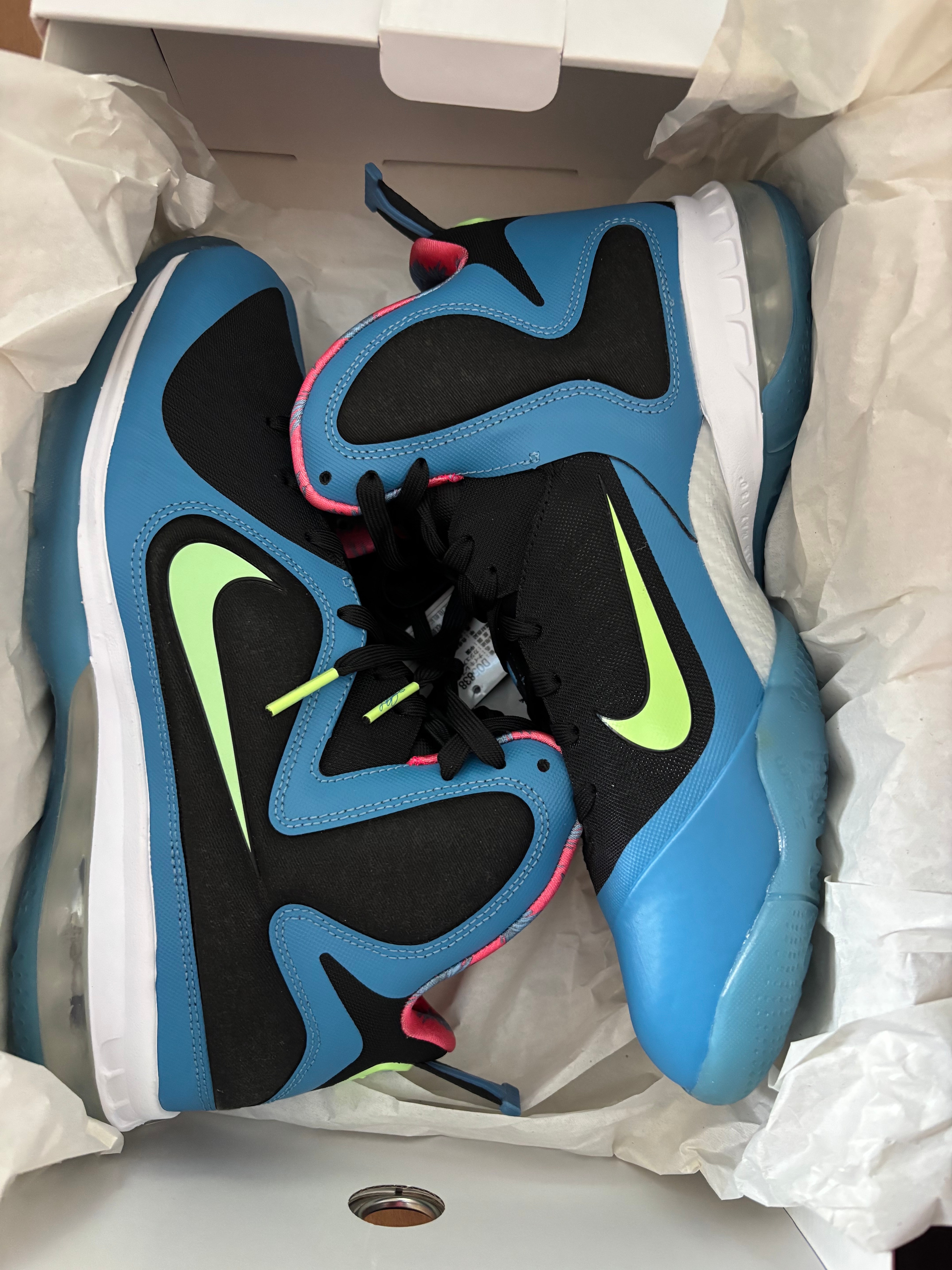 Nike Lebron 9 "South Coast"