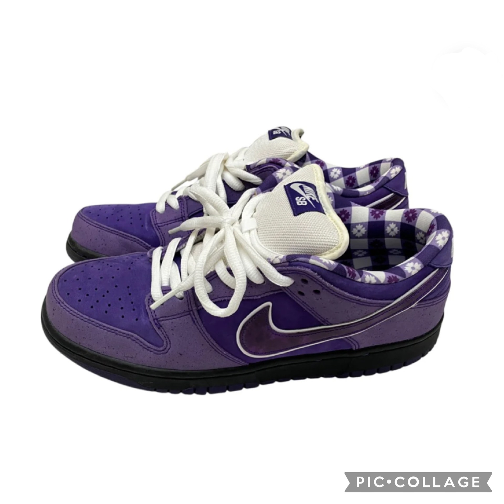 Concepts × Nike SB Dunk Low "Purple Lobster"