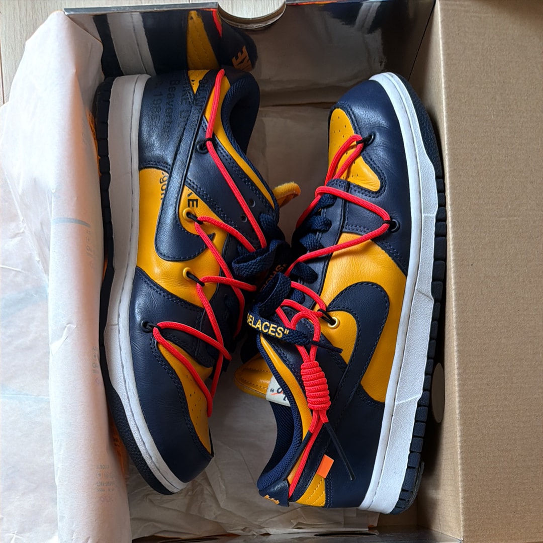 Off-White × Nike Dunk Low LTHR 