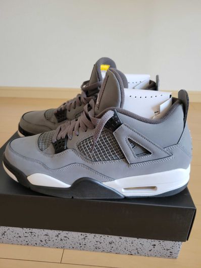 Nike Air Jordan 4 "Cool Grey"