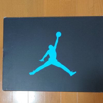 Nike Air Jordan 5 "Aqua"