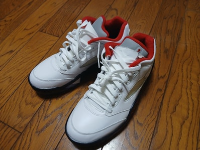 Nike Air Jordan 5 Retro Low Golf "Fire Red/Silver Tongue"