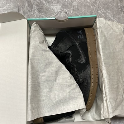 Nike SB Zoom Dunk High Pro "Antihero"